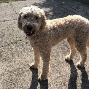 Meet your Posher, Jasmine